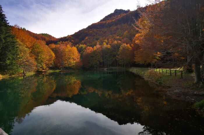 Il Foliage al Parco del Corno alle Scale: Un Tripudio di Colori nella Natura dell'Appennino