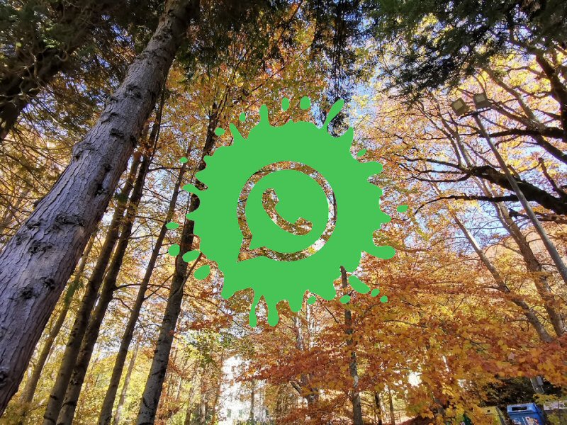 Il Parco del Corno alle Scale sbarca su WhatsApp: novità, eventi e aggiornamenti sempre a portata di mano